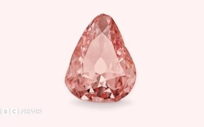 Rare pink diamond goes on display in France 100 years after amateur heist Rare pink diamond goes on display in France 100 years after amateur heist