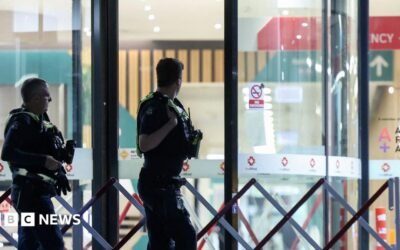 Warning signs over threats to Australian politicians were rising before MP hit by car Warning signs over threats to Australian politicians were rising before MP hit by car